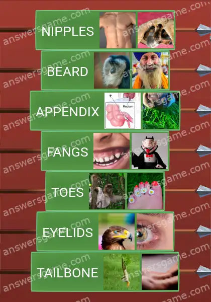 Answers to the game Word Logic Castle 5 Ridiculous remnants