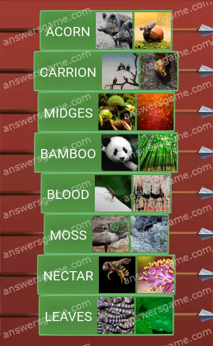 Answers to the game Word Logic Castle 5 Feed the animals