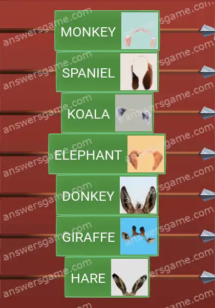 Answers to the game Word Logic Castle 5 Listening devices