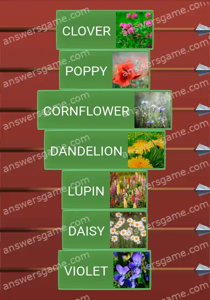 Answers to the game Word Logic Castle 5 Wildflowers