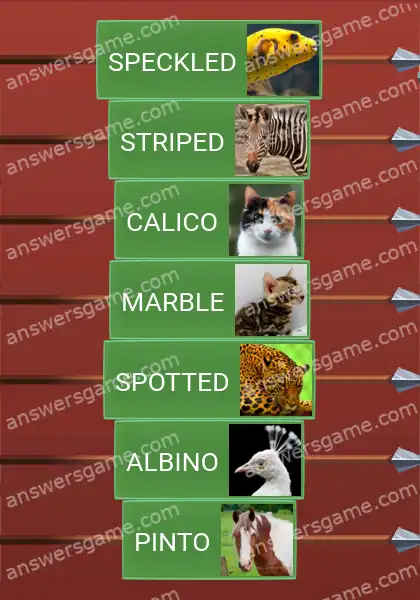 Answers to the game Word Logic Castle 6 Coloration