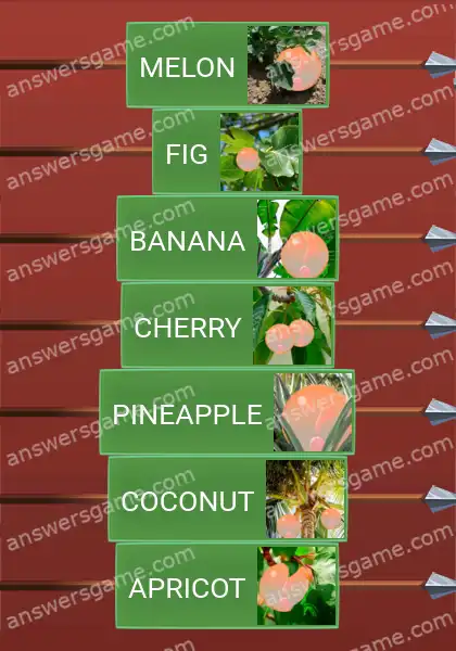 Answers to the game Word Logic Castle 6 The sun ripens