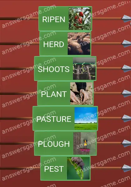 Answers to the game Word Logic Castle 7 Farm life