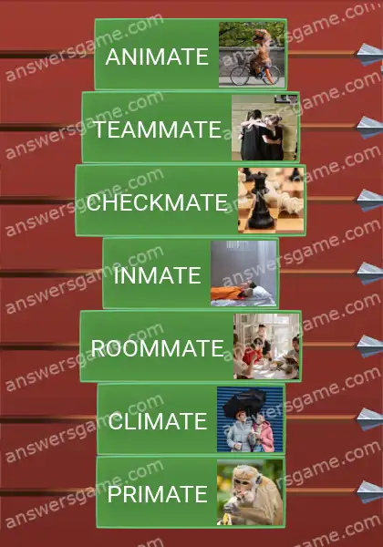 Answers to the game Word Logic Castle 7 Mates