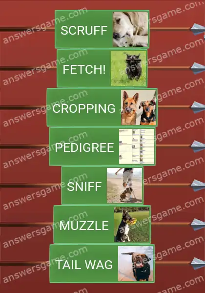 Answers to the game Word Logic Castle 7 Life on a leash