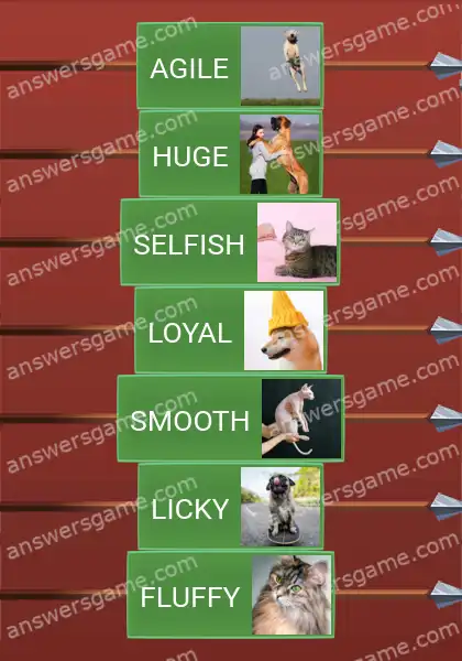 Answers to the game Word Logic Castle 7 Pet lingo