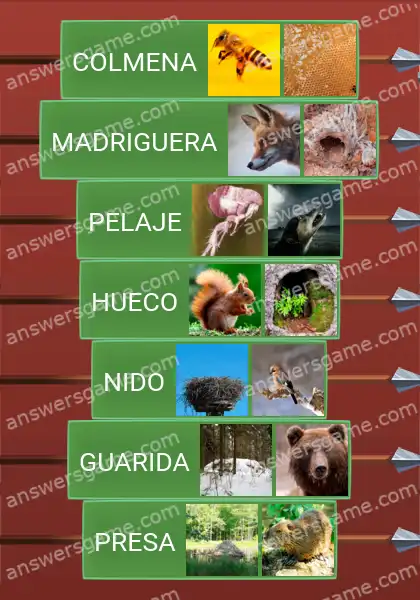 Respuestas al juego Word Logic Castillo 1 Dónde vive cada uno