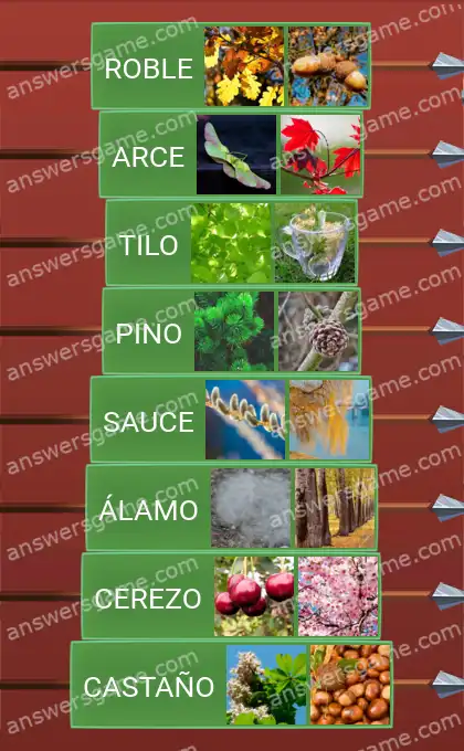 Respuestas al juego Word Logic Castillo 2 Árbol va