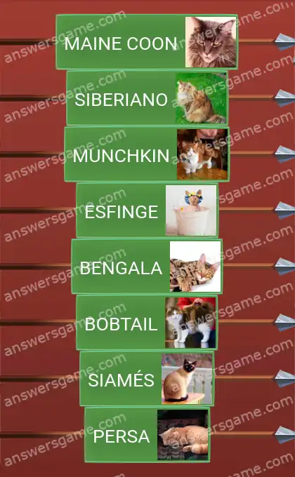 Respuestas al juego Word Logic Castillo 3 Con o sin pelo