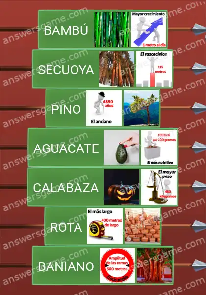 Respuestas al juego Word Logic Castillo 3 El mejor de todos