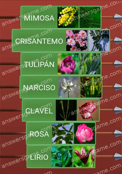 Respuestas al juego Word Logic Castillo 3 Flores