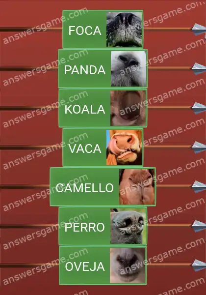 Respuestas al juego Word Logic Castillo 4 De quién es esta nariz