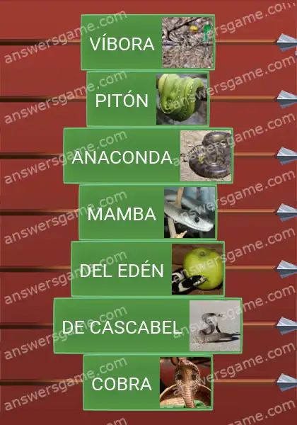 Respuestas al juego Word Logic Castillo 4 Serpientes