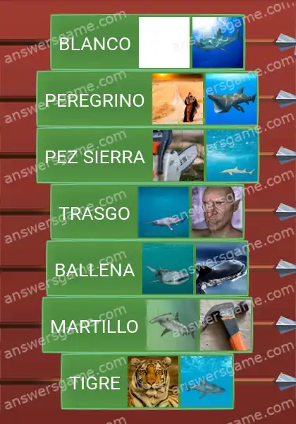 Respuestas al juego Word Logic Castillo 4 Tiburones varios