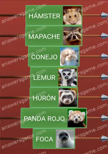 Respuestas al juego Word Logic Castillo 4 Peluditos y mulliditos