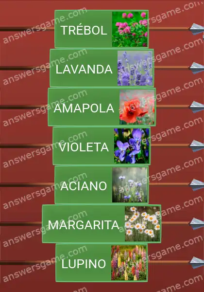 Respuestas al juego Word Logic Castillo 5 Flores silvestres