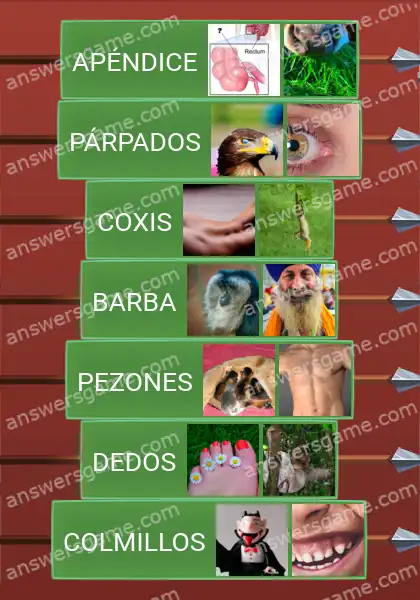 Respuestas al juego Word Logic Castillo 5 Vestigios extraños