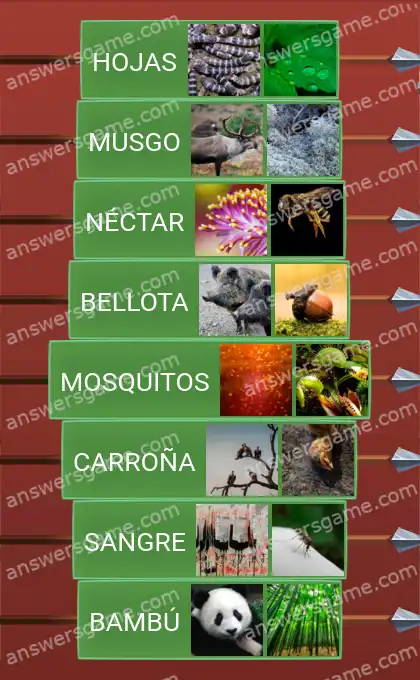 Respuestas al juego Word Logic Castillo 5 Alimentos de los animales