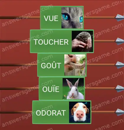 Les solutions pour le jeu Word Logic Chateau 1 Bon sens