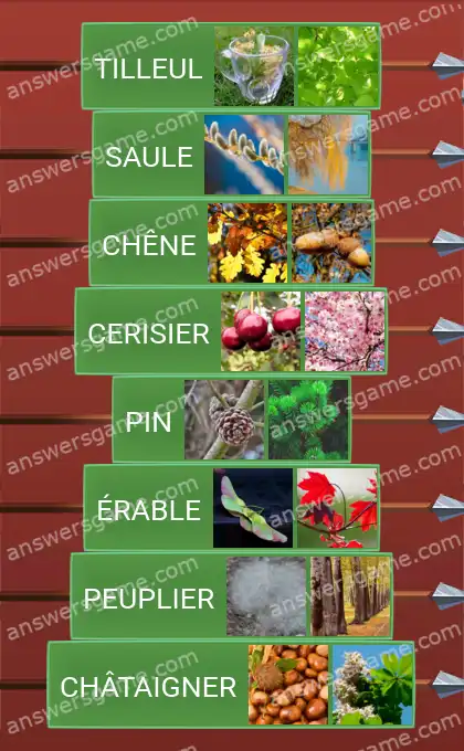 Les solutions pour le jeu Word Logic Chateau 2 Auprès de mon arbre