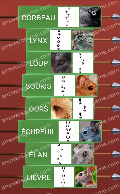 Les solutions pour le jeu Word Logic Chateau 2 À la trace