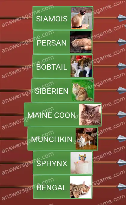 Les solutions pour le jeu Word Logic Chateau 3 Poils longs et poils ras