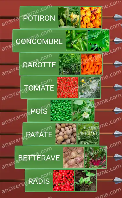 Les solutions pour le jeu Word Logic Chateau 3 Jeunes pousses