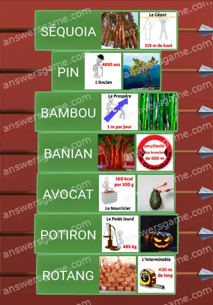 Les solutions pour le jeu Word Logic Chateau 3 Les meilleurs d'entre tous