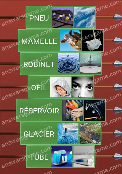 Les solutions pour le jeu Word Logic Chateau 4 Fuite de fluide