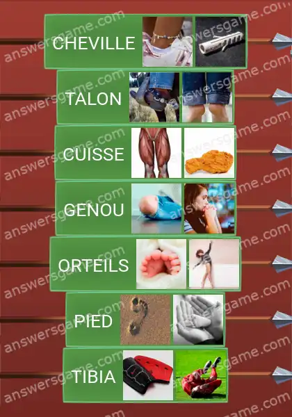 Les solutions pour le jeu Word Logic Chateau 4 Jambes