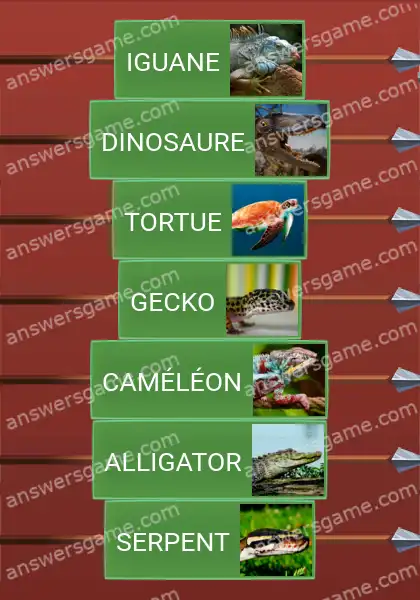 Les solutions pour le jeu Word Logic Chateau 5 Reptiles