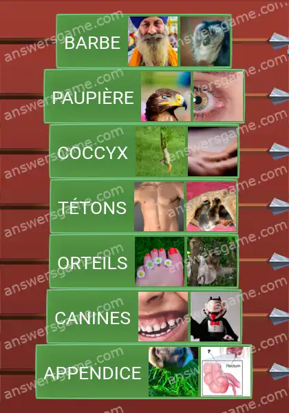 Les solutions pour le jeu Word Logic Chateau 5 Vestiges absurdes