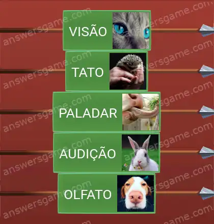 Respostas ao jogo Word Logic Castelo 1 Cinco sentidos