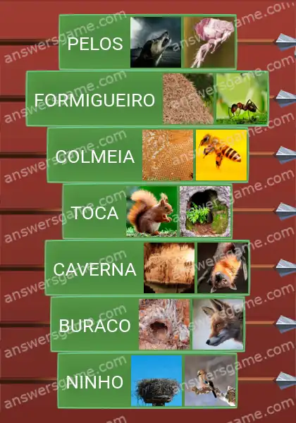 Respostas ao jogo Word Logic Castelo 1 Onde cada um vive