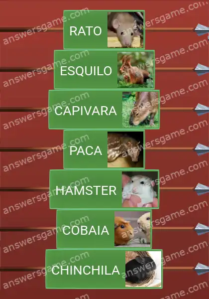Respostas ao jogo Word Logic Castelo 2 Explorando roedores