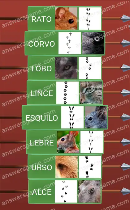 Respostas ao jogo Word Logic Castelo 2 Rastros de animais