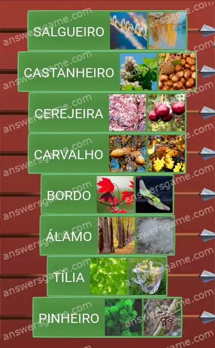 Respostas ao jogo Word Logic Castelo 2 Árvore, vá