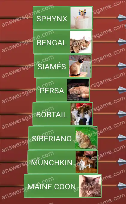 Respostas ao jogo Word Logic Castelo 3 Ronronar