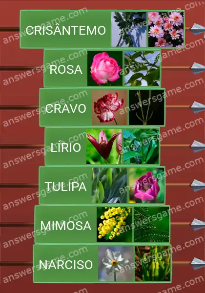 Respostas ao jogo Word Logic Castelo 3 Flores