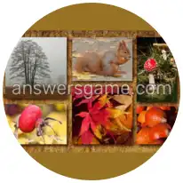 Word Rings Level 14 Puzzle 1