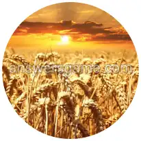 Wortringe Ebene 2 Rätsel 8