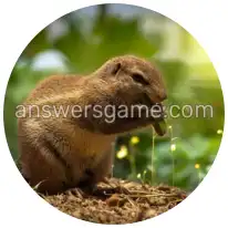 Wortringe Ebene 9 Rätsel 2