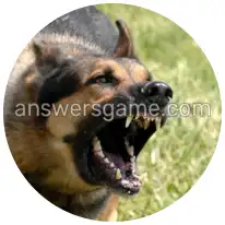 Word Rings Level 25 Puzzle 3