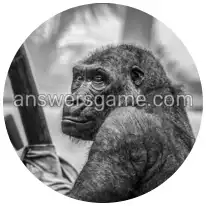 Word Rings Level 8 Puzzle 1