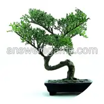 Wortringe Ebene 9 Rätsel 1