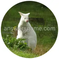 Word Rings Level 21 Puzzle 3