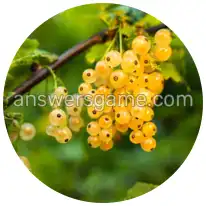 Word Rings Level 33 Puzzle 2