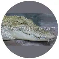 Word Rings Level 22 Puzzle 10