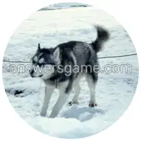 Word Rings Level 25 Puzzle 1