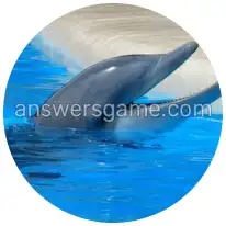 Word Rings Level 31 Puzzle 10